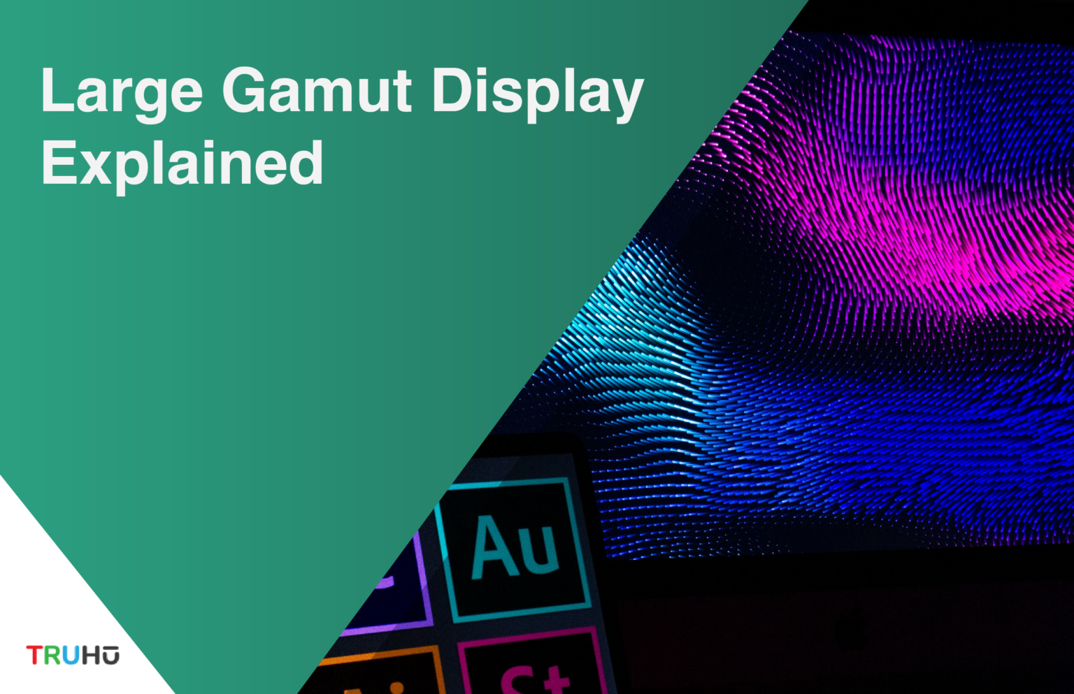 Why Do I Need A Large Gamut Display TruHu Blog why-do-i-need-a-large-gamut-display-truhu-blog