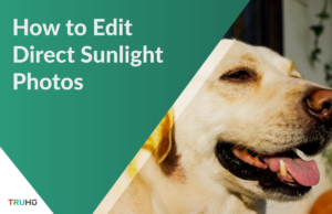 how to edit direct sunlight photos